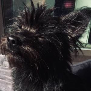 Meet your Posher, Ellyana